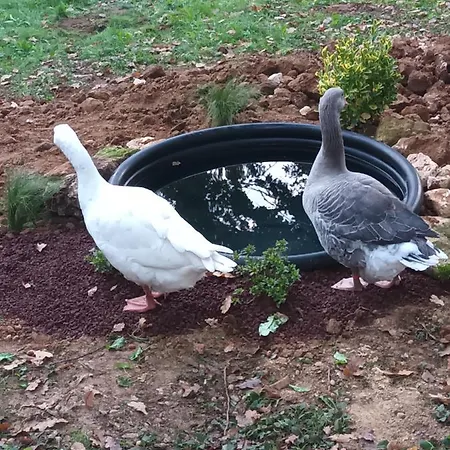 Git'an Perigord La Bohemienne Homestay *