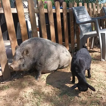 Git'an Perigord La Bohemienne * Grolejac