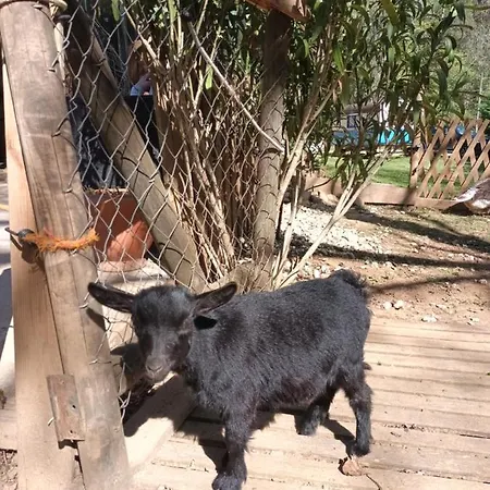 Homestay Git'an Perigord La Bohemienne Grolejac