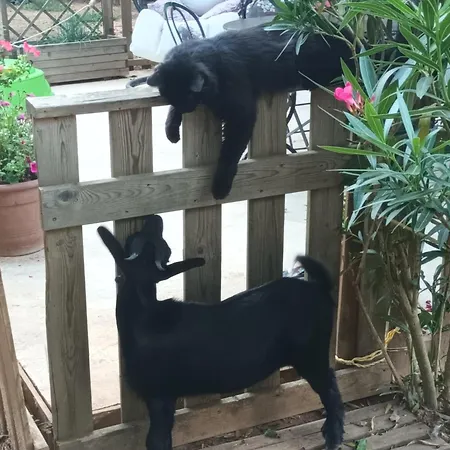 Git'an Périgord La Bohémienne Groléjac