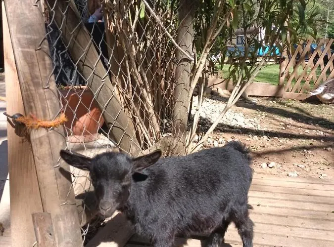 Homestay szállás Git'an Perigord La Bohemienne Groléjac